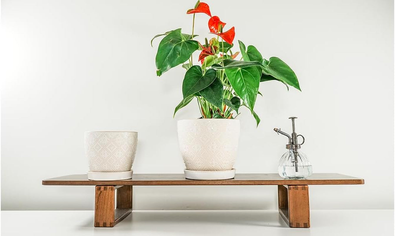 Ceramic Plant Pots Indoor, 6.6 + 5.5 Inch Planters with Drainage Holes and Saucer for Home/Office - Set of 2 /White