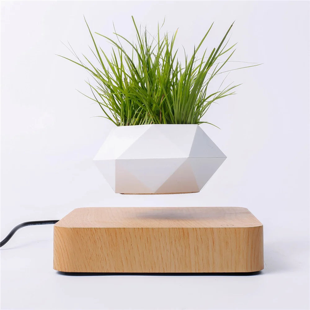 New Magnetic Levitation Floating Plant Pot Levitating Air Bonsai Pot Rotation Flower Pot Office Home Decoration Gifts